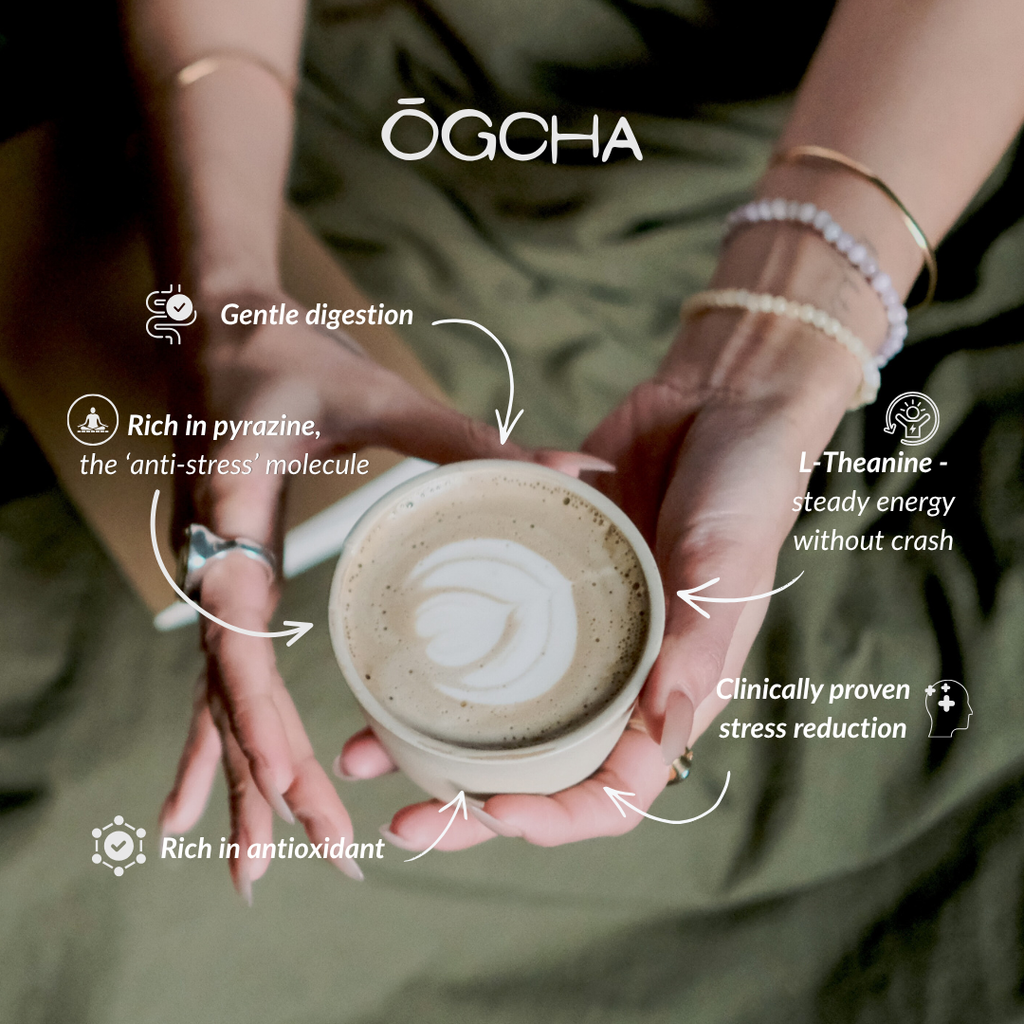 Hojicha powder 40g