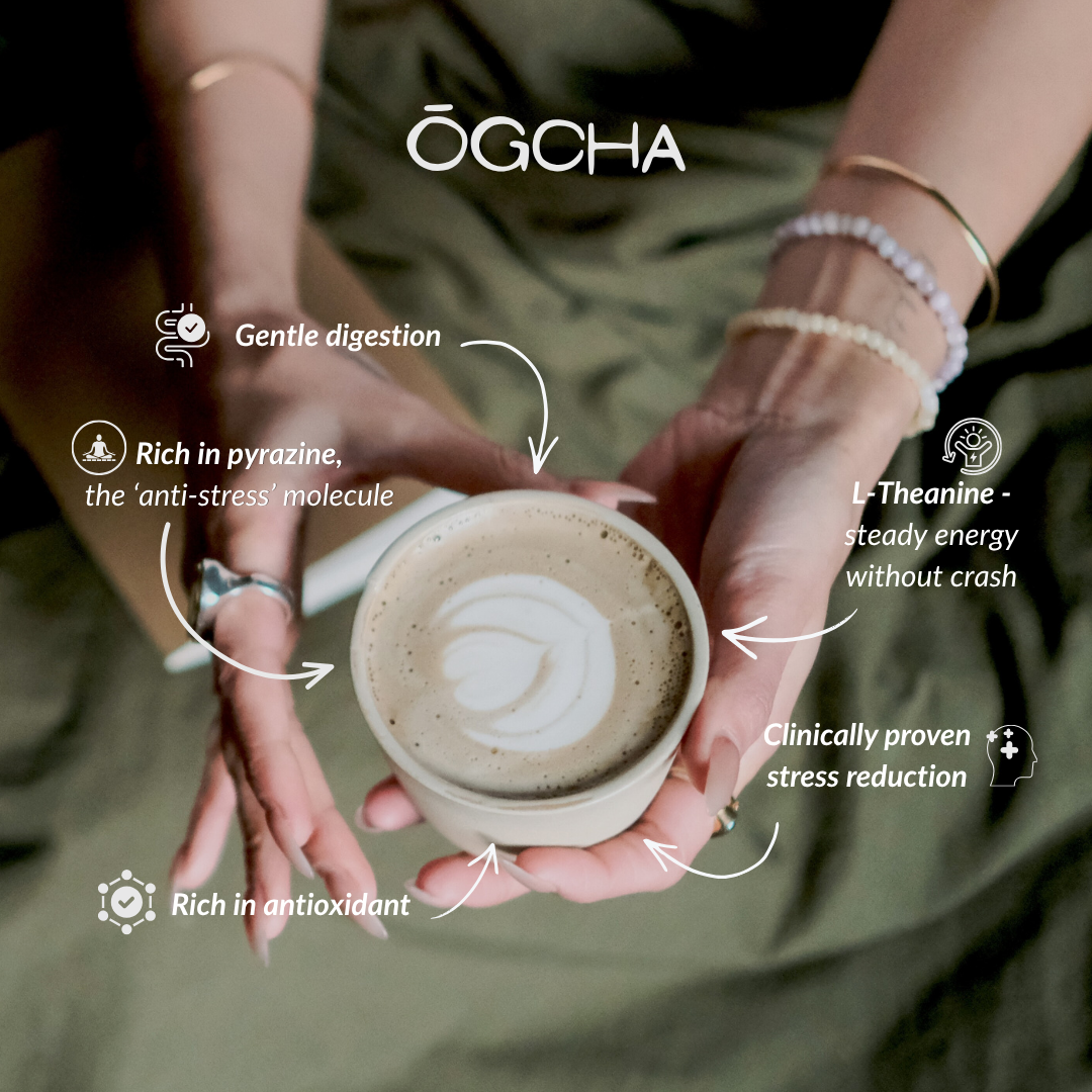 Hojicha Powder 40g